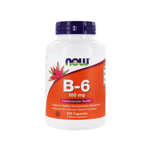 Now - Vitamina B-6 100mg